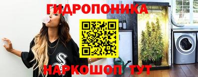скорость Кимры