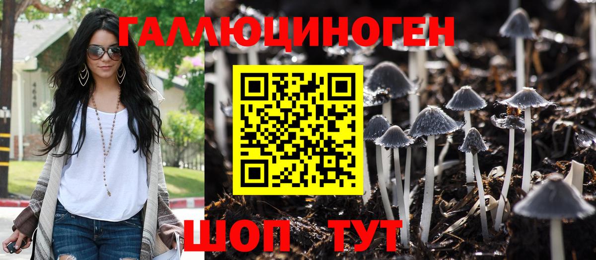 Псилоцибиновые грибы Psilocybine cubensis  Псилоцибиновые грибы мицелий  Вход с VPN  купить закладку  Красноармейск 